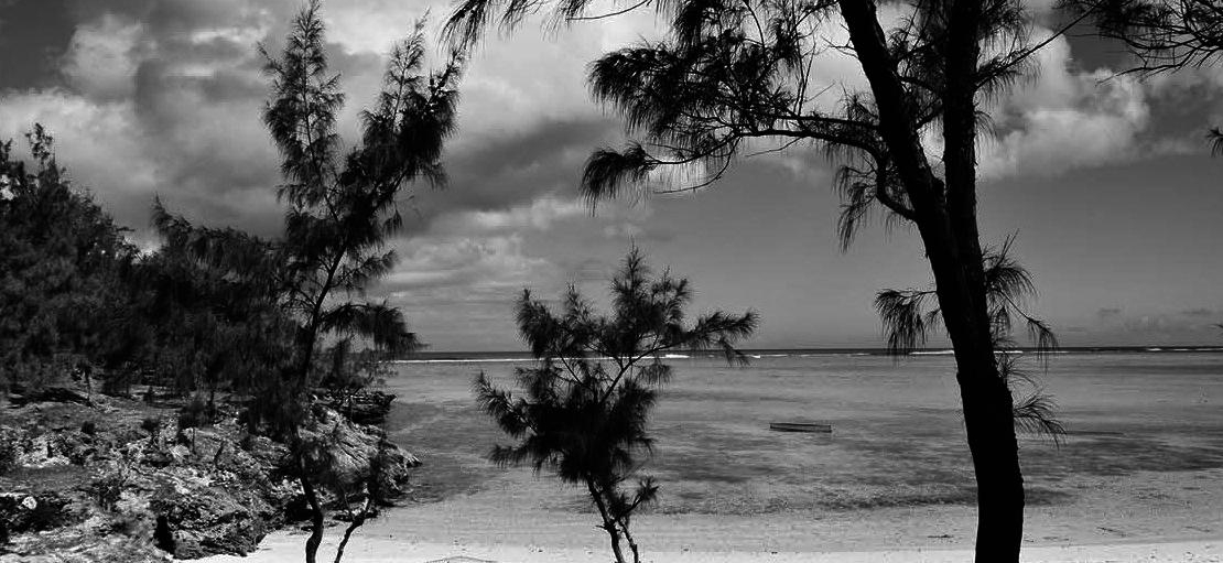 votre photo votre photo